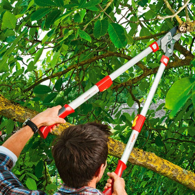 BlueStoneGarden |  Telescoping Anvil Lopper RR900T