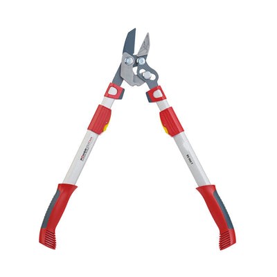 BlueStoneGarden |  Telescoping Anvil Lopper RR900T