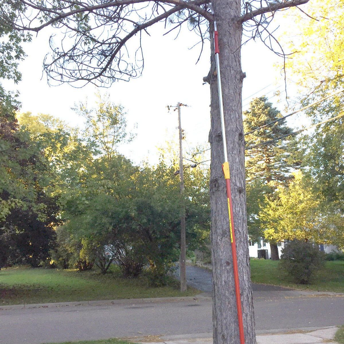 BlueStone Garden -  Vario Telescopic Handle 118" - ZMV3