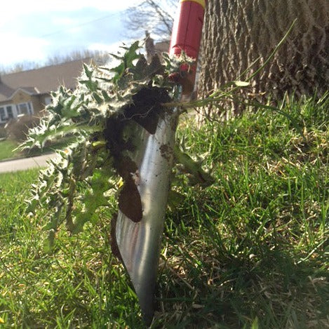 Weeding Tools - BlueStone Garden -  Thistle and Weed Extractor - IWM