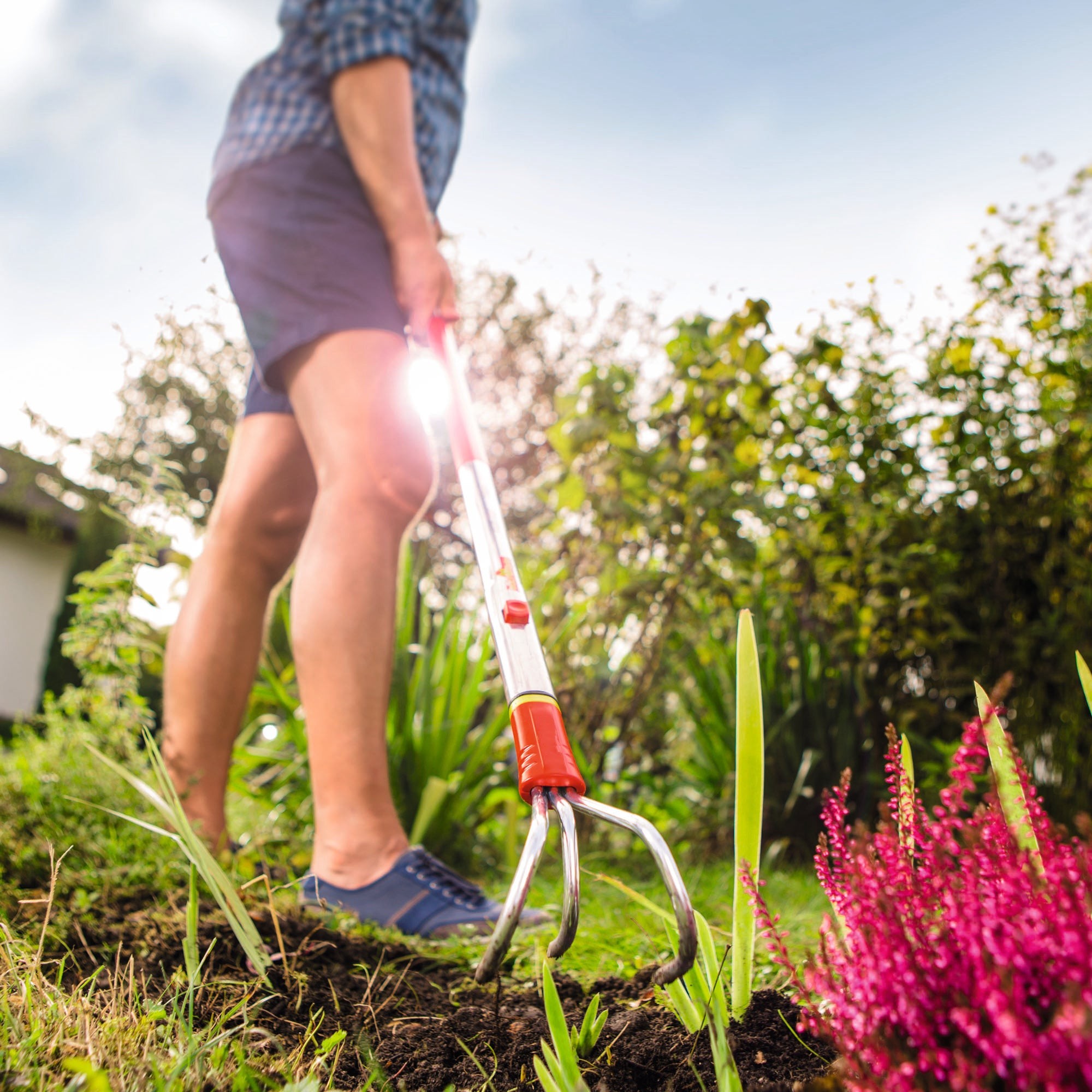 Cultivating Tools -  Garden Cultivator Grubber BAM - BlueStoneGarden