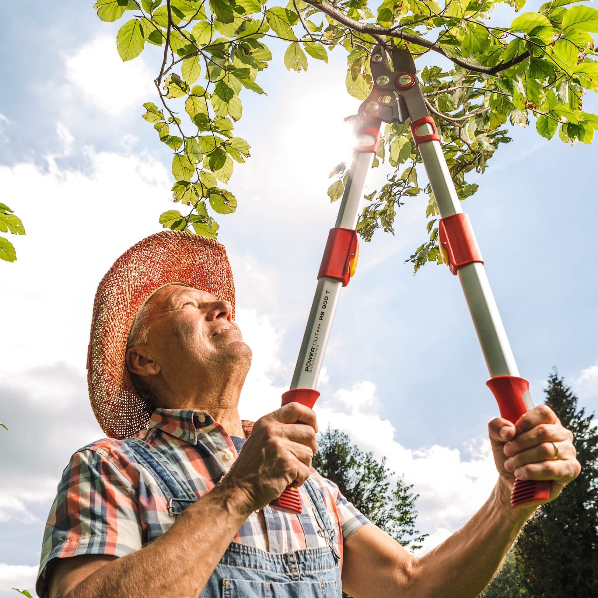 BlueStone Garden -  Power Cut Bypass Lopper RR900T