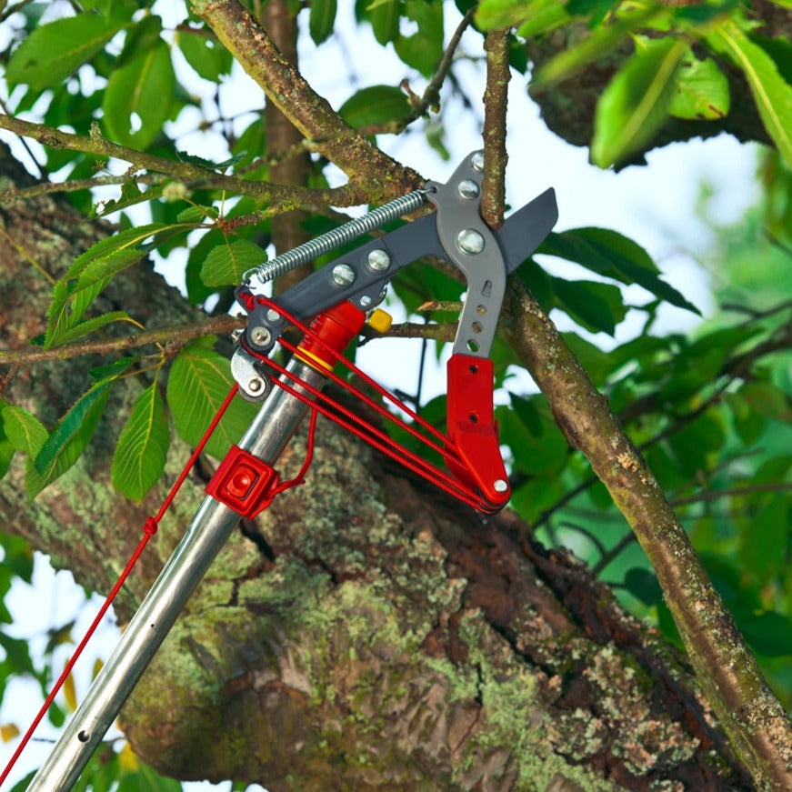 Tree Loppers- Professional Tree Lopper RRVM - BlueStoneGarden