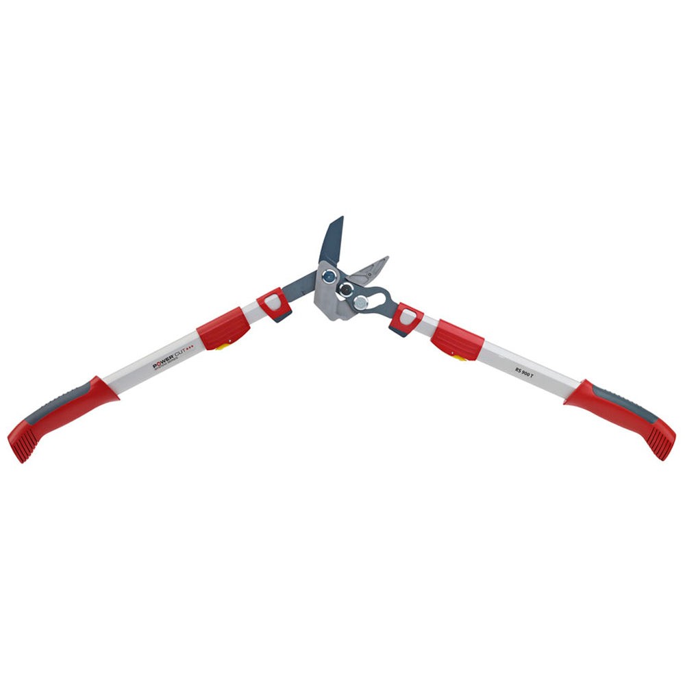 BlueStoneGarden |  Telescoping Anvil Lopper RR900T