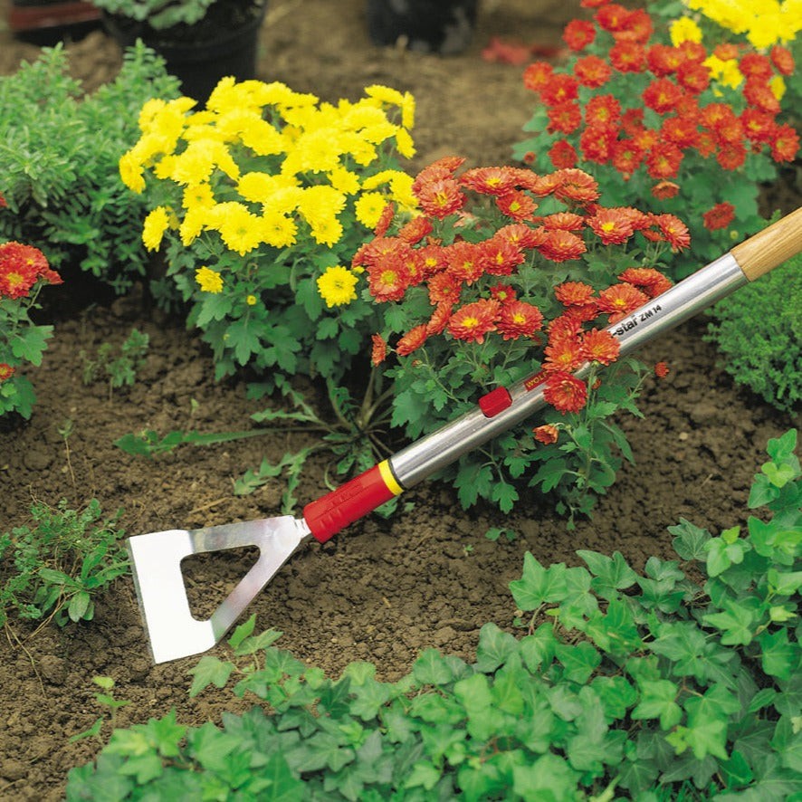 Garden Hoes -  Dutch Hoe DHM - BlueStoneGarden.com