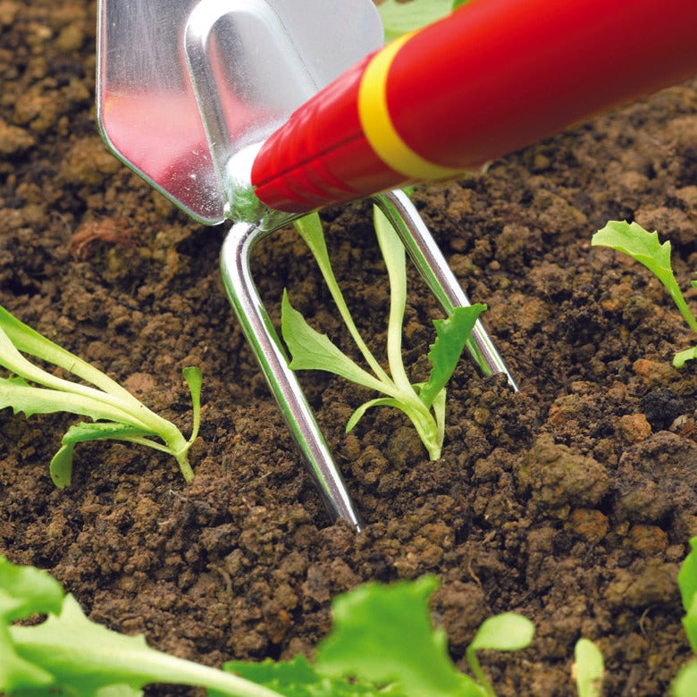 BlueStone Garden -  Planting Hoe IMM