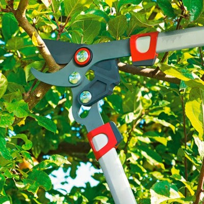 BlueStone Garden | Tree Loppers |  Bypass Lopper RR650