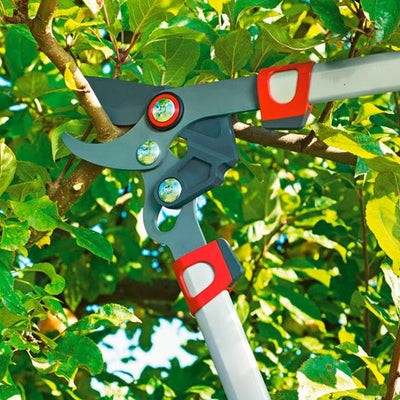BlueStone Garden | Loppers |  Bypass Lopper 29.5” RR750