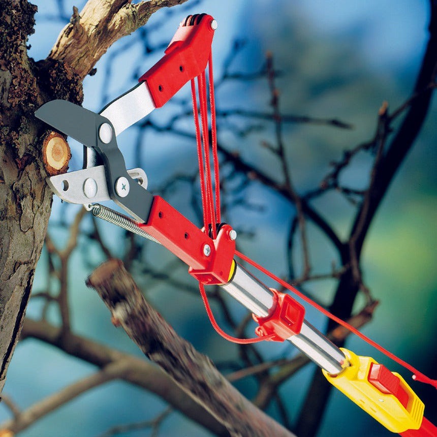 BlueStone Garden -  Tree Lopper - RCM