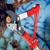BlueStone Garden -  Tree Lopper - RCM