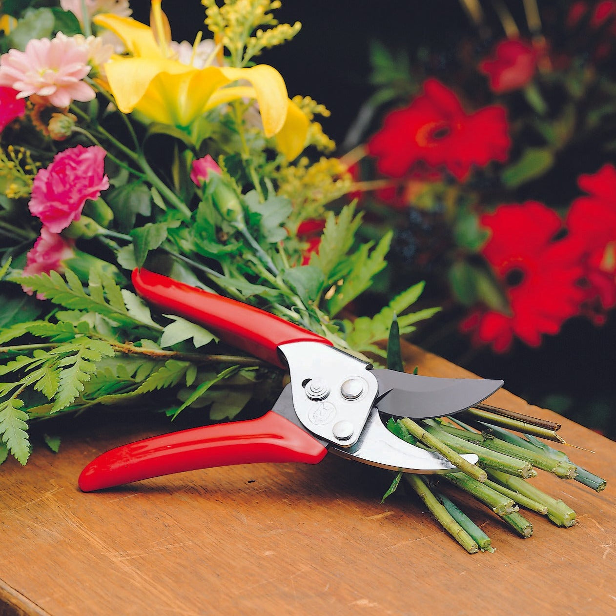 Pruners - Pruning Shears -  Bypass Pruner - BlueStoneGarden.com