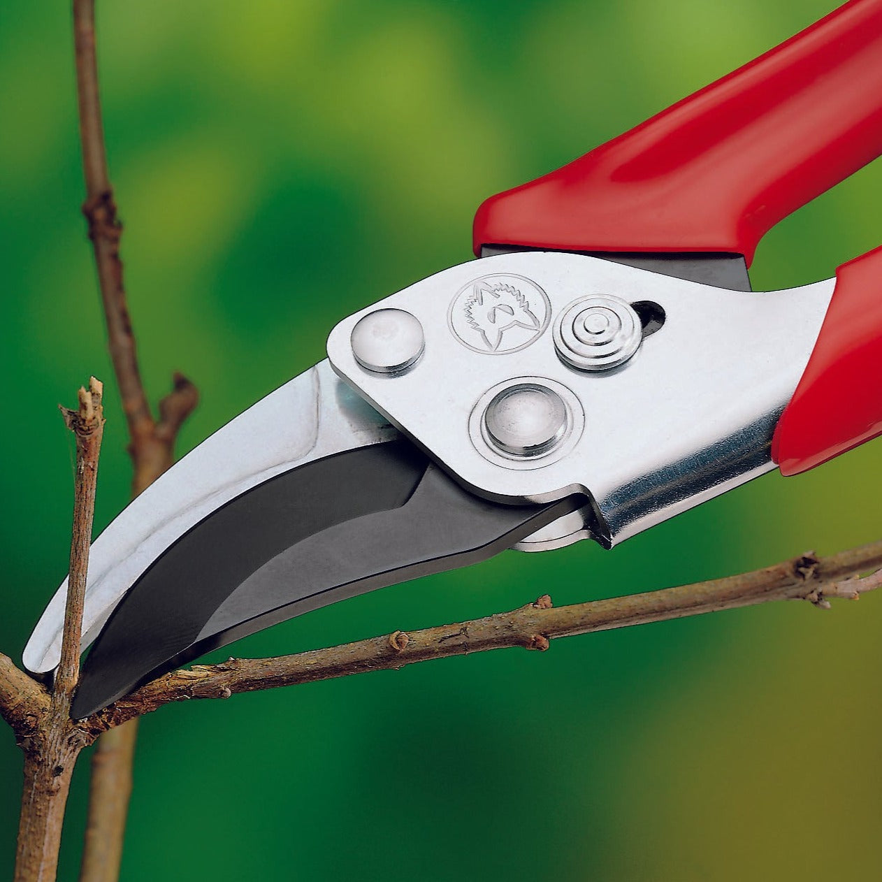 Pruners - Pruning Shears -  Bypass Pruner - BlueStoneGarden.com