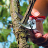 Pruners - Pruning Shears -  Bypass Pruner - BlueStoneGarden.com