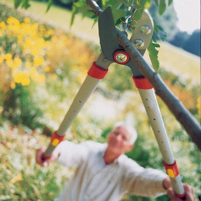 BlueStone Garden -  Power Cut Bypass Lopper RR900T