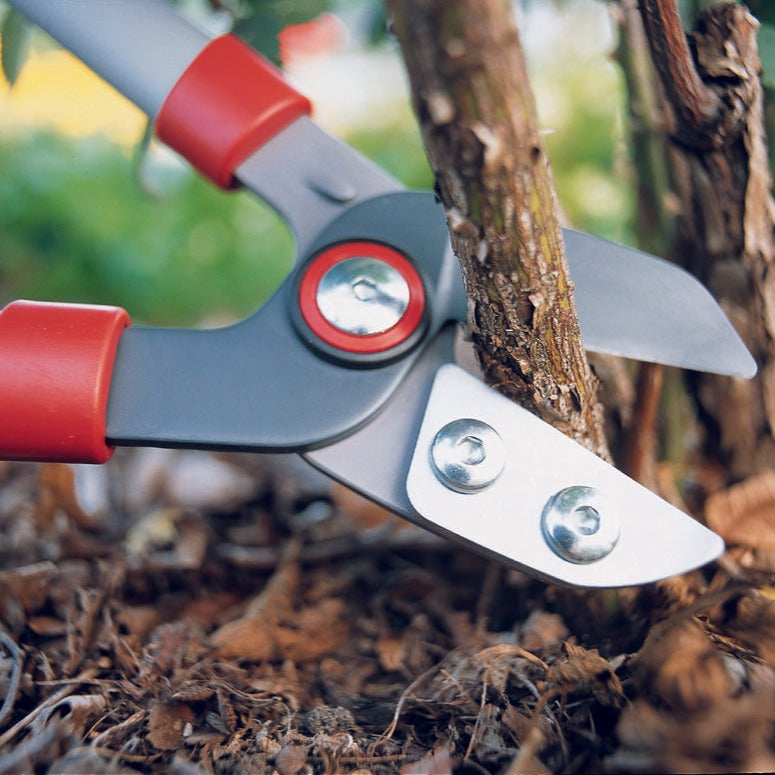 BlueStone Garden -  Anvil Lopper 29.5” - RS750