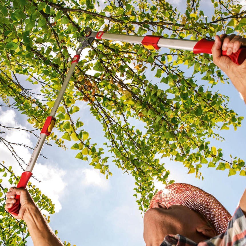 BlueStone Garden | Tree Loppers |  Bypass Lopper RR650