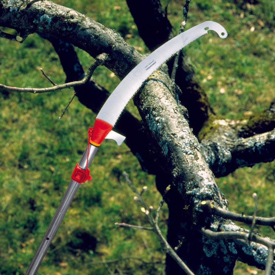 13 ft Pole Saw -  Pole Saw Set - BlueStoneGarden