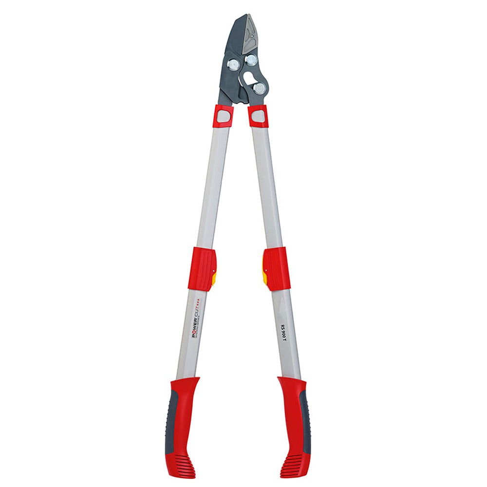 BlueStoneGarden |  Telescoping Anvil Lopper RR900T