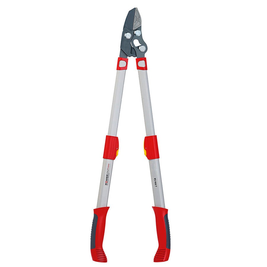 BlueStoneGarden |  Telescoping Anvil Lopper RR900T