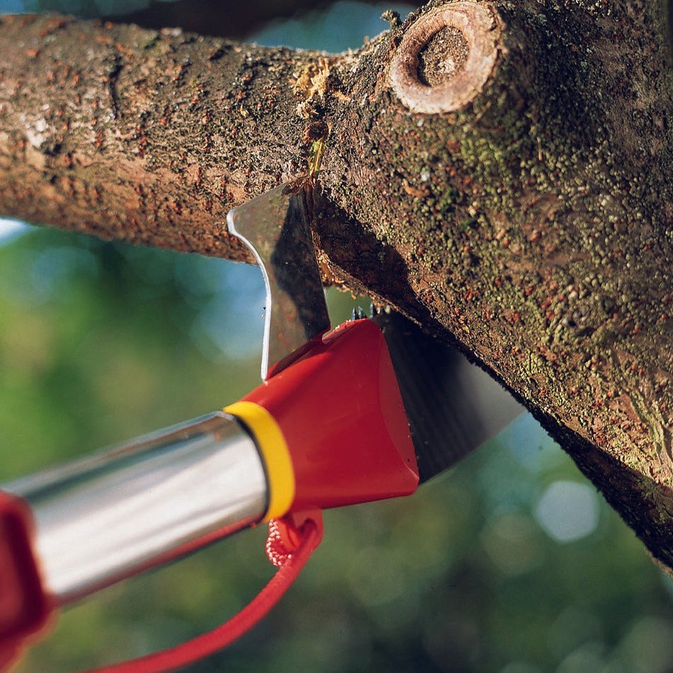 13 ft Pole Saw -  Pole Saw Set - BlueStoneGarden