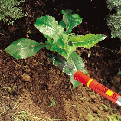 Weeding Tools - BlueStone Garden -  Thistle and Weed Extractor - IWM